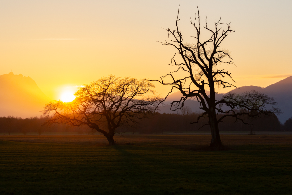 Lauteracherried im Jänner 100